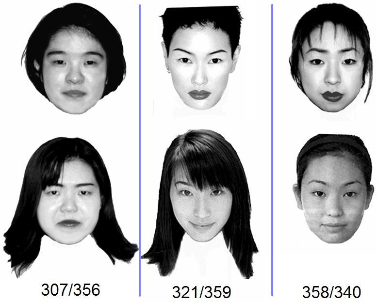 photos of similar pairs of faces