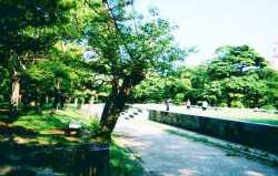 Middle school students in Chuo Park